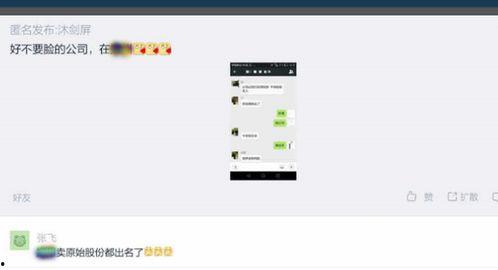 獨(dú)家爆料是什么意思,揭開神秘事件的背后真相