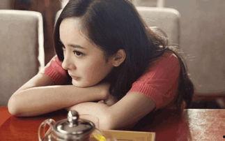 明星黑料都是怎么扒出來的,明星黑料背后的秘密挖掘手段