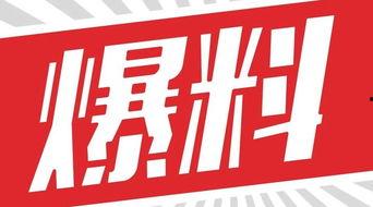 獨(dú)家爆料素材,震驚內(nèi)幕，揭秘某事件背后驚人真相！